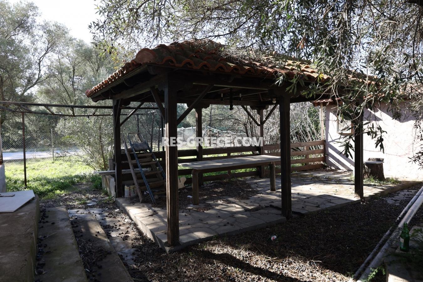 Кактус, Халкидики-Ситония, Греция - отдельностоящий дом на участке 10 соток под реновацию - Фото 9