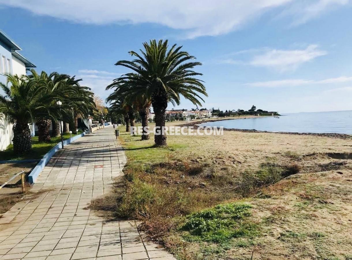 Участок Олив, Геракини, Греция - участок с большим коэффициентом застройки, Фото 3