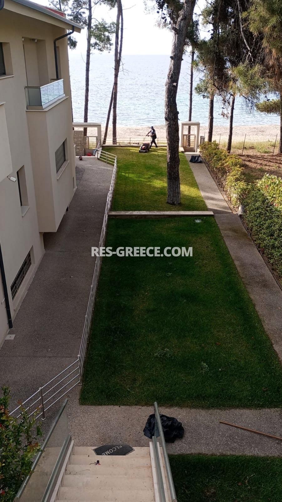 Тодорос, Халкидики-Ситония, Греция -  - Фото 20