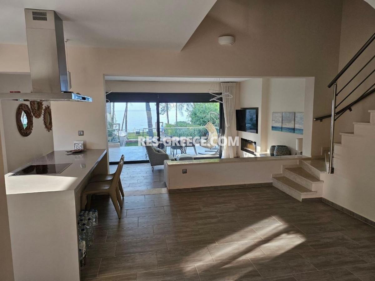 Тодорос, Халкидики-Ситония, Греция -  - Фото 14