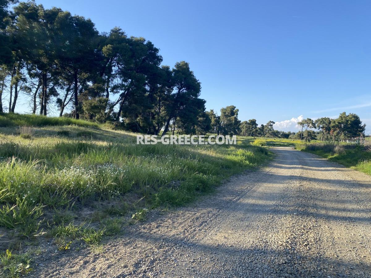 Участок Сани 1, Сани, Греция - участок под застройку, Фото 6