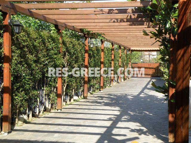 Эмир, Халкидики-Кассандра, Греция -  - Фото 6